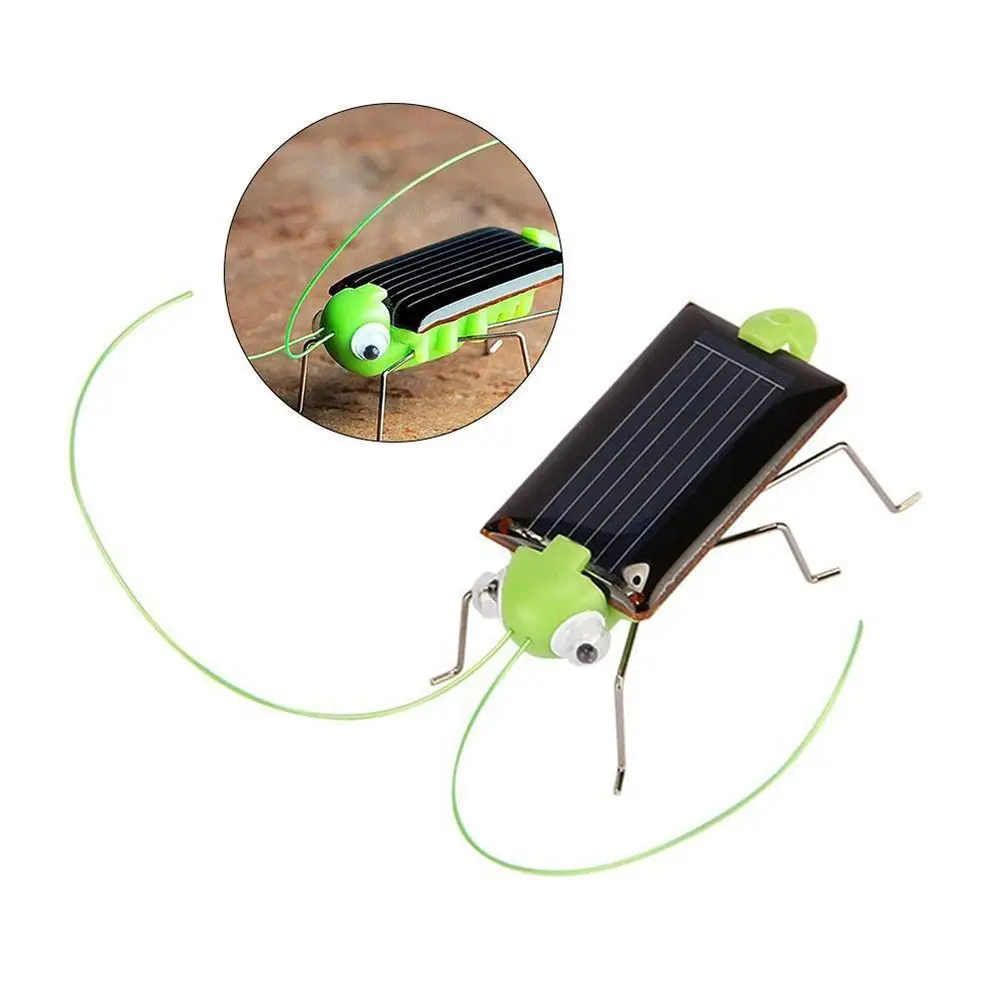 Mini insecto educativo de energía, Robot de aprendizaje de insectos, regalo para niños, insecto Solar