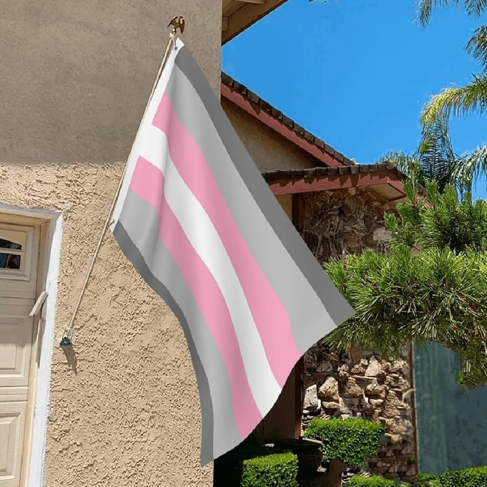 LeaFLAG 90 X 150cm High Quality Polyester Hanging LGBT Demigirl Demi Girl Flag For Decoration