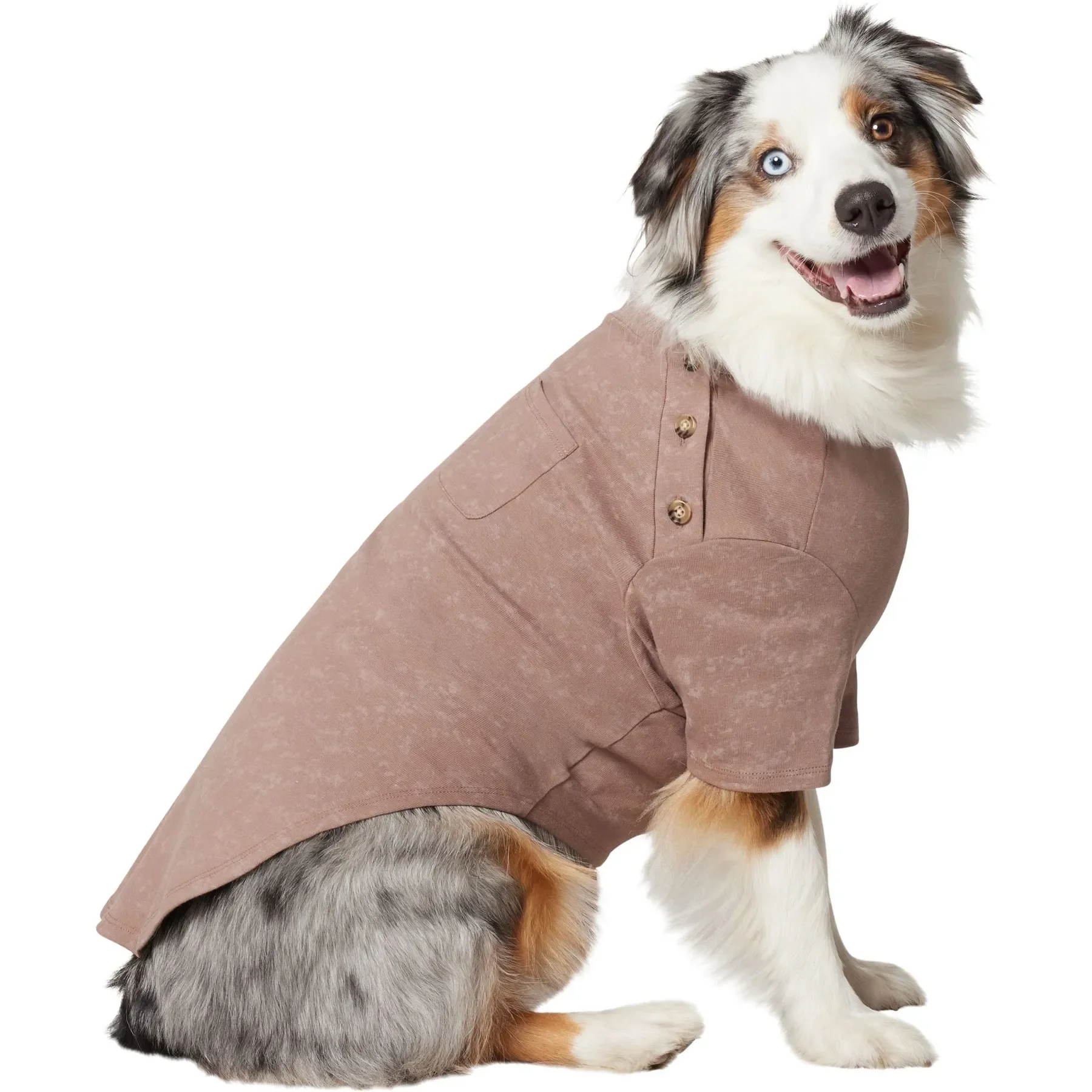 

2025 New Fashion Frisco Sunkissed Dog T-Shirt Comfortable Pet Clothes for Small Medium Dogs