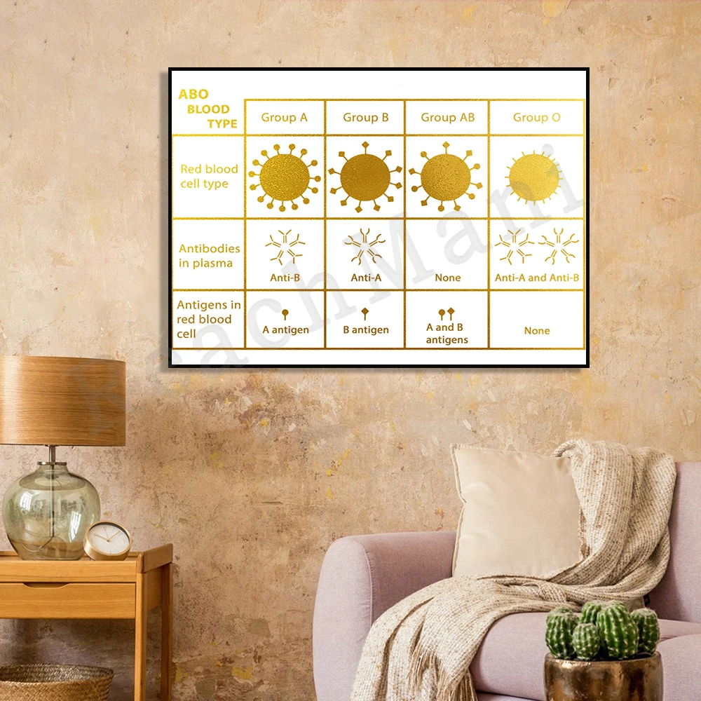 Human ABO Blood Type Biology Hematology A B AB O Blood Type Clinic Decor Medicine Gold Art Canvas Typographic Poster