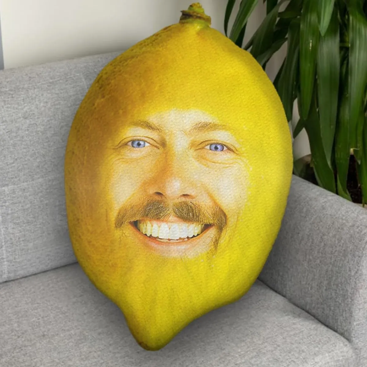 Customized Fruit Le… - image