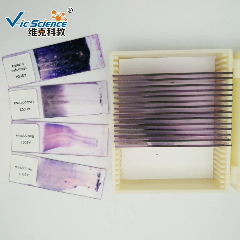 18pcs Hematology (glass blood smear prepared slides) for teaching purposes