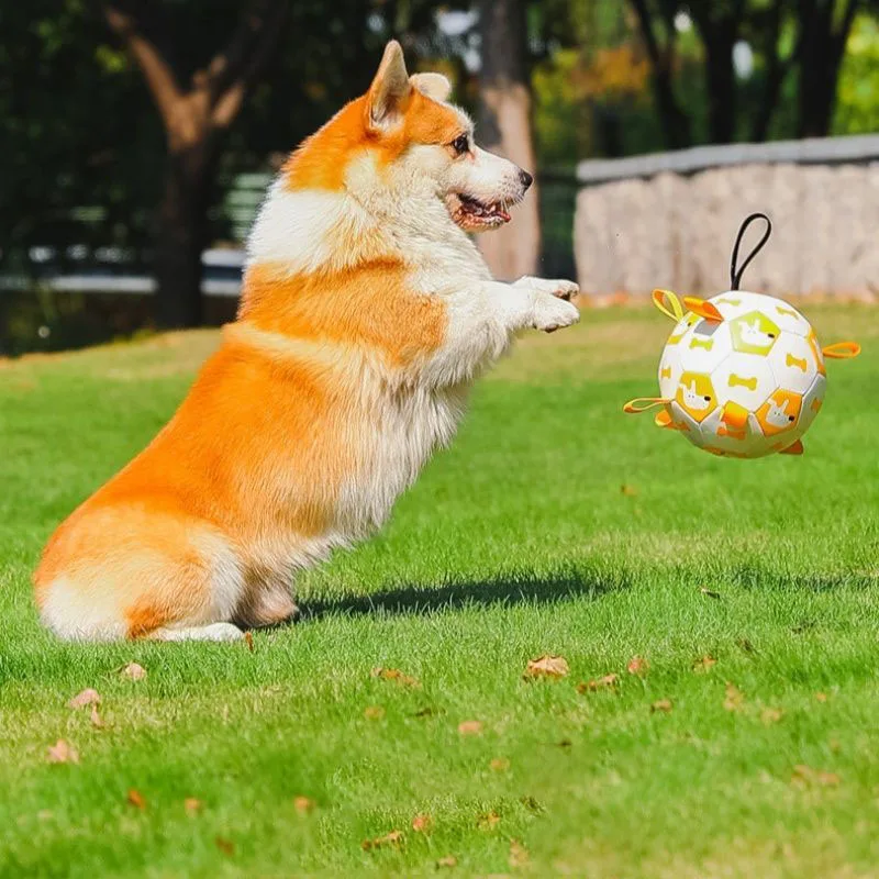 Durable Dog Soccer Ball Toy with Ribbons Interactive Pet Chew Toy for Small Medium Dogs Bite Resistant Training Ball Outdoor Toy view 3