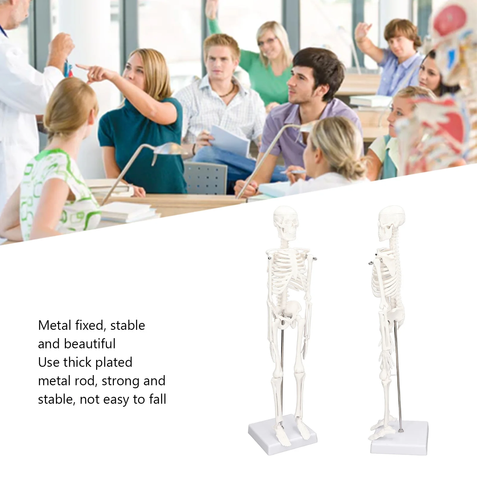 45cm Mini Skeleton Model PVC Human Body Bone Structure With Movable Arms Legs And Stand For Halloween Home Decoration