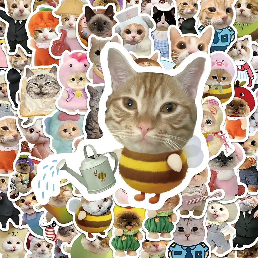 10/30/62pcs Funny Cat MEME Creative Stickers Cartoon Cute Graffiti Decals DIY Motorcycle Phone Luggage Waterproof Sticker Decor