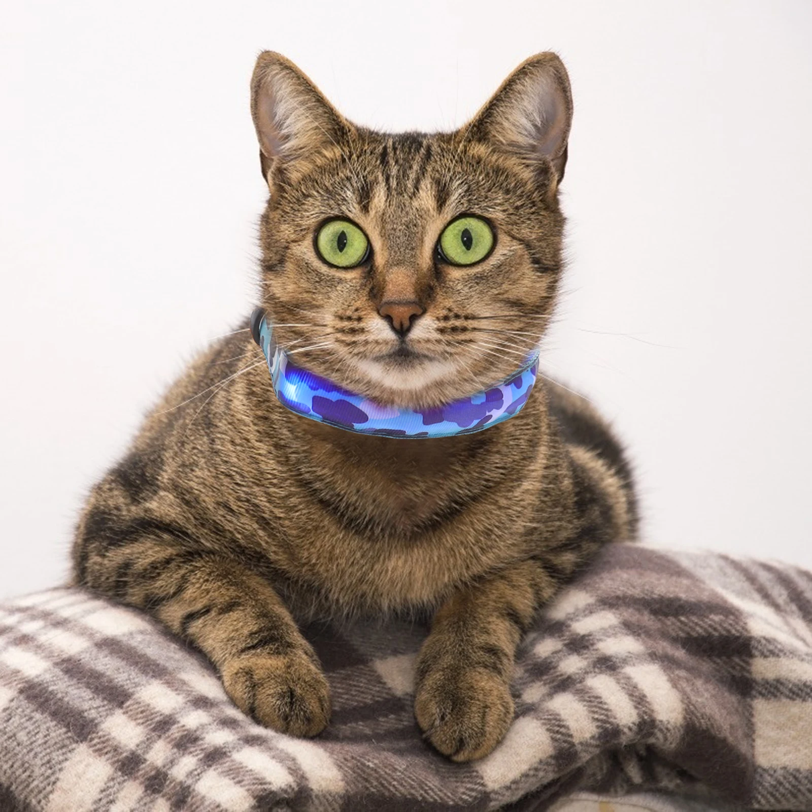 

Led Dog Cat Luminous Collar Flashing Night Safety Buckle Replacable Glowing Pet Neck Decoration Unique Cat Collar