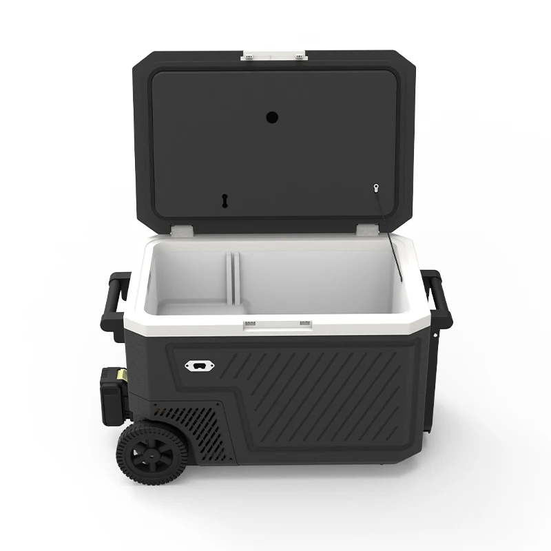 휴대용 냉장고 냉동고 쿨러 박스 (HD 터치스크린 제어 및 블루투스 앱 지원, 선택 사항)