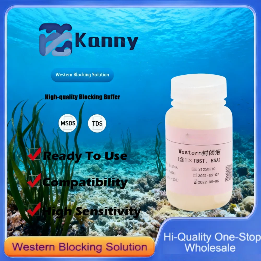 Western Blocking Solution for Protein Blotting and Detection in Western Blot Applications Original Product