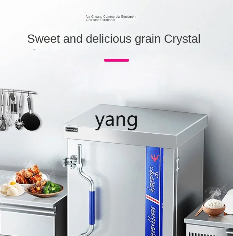 CX  commercial rice steamer under timed rice steamer large steamer