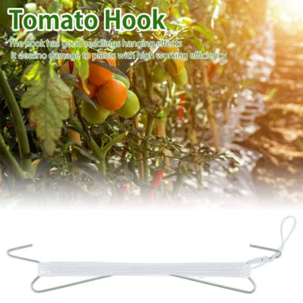 Greenhouse Tomato Hook System Hot Galvanized Iron Hooks with 10m Nylon Rope for Tomato Cucumber Eggplant Melon Vine Support