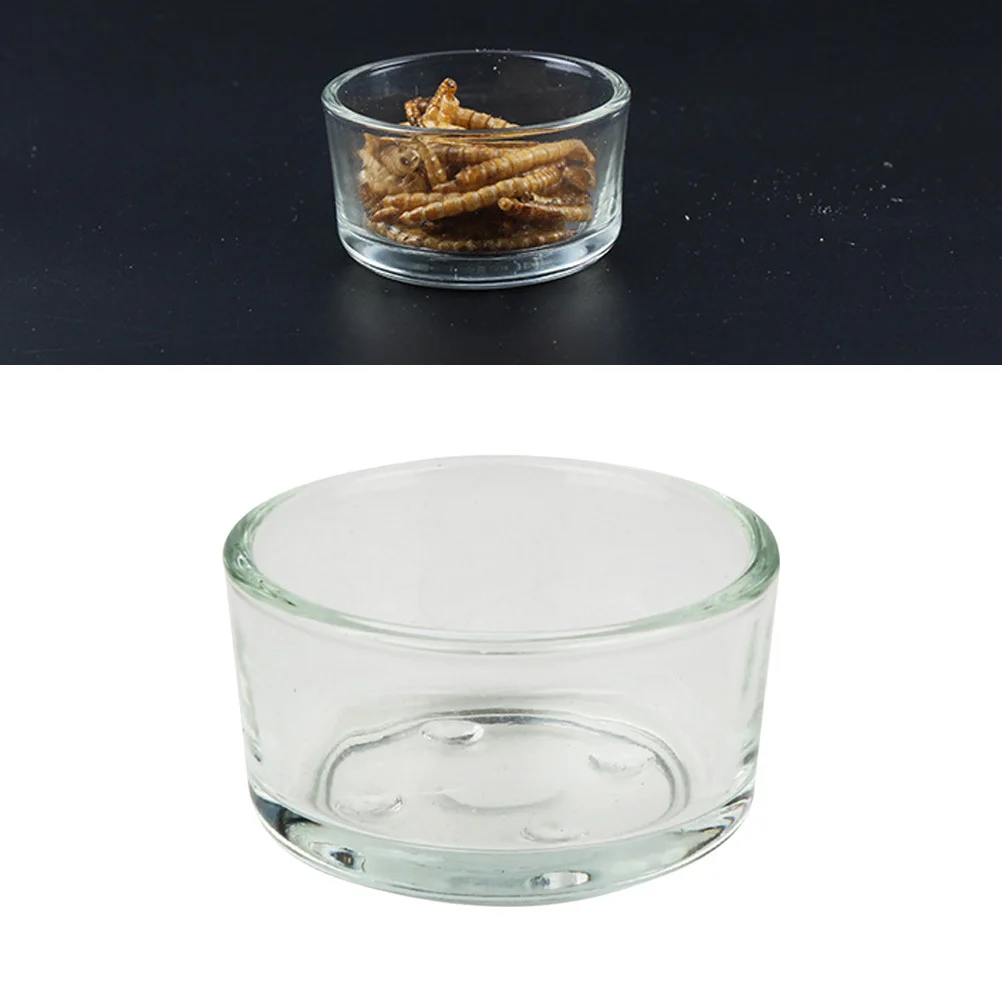 

4Pcs Drinking Bowl for Pet Reptile Feeder Thick Transparent Glass Cup Food Water Container Lizard Turtle Cricket Basin