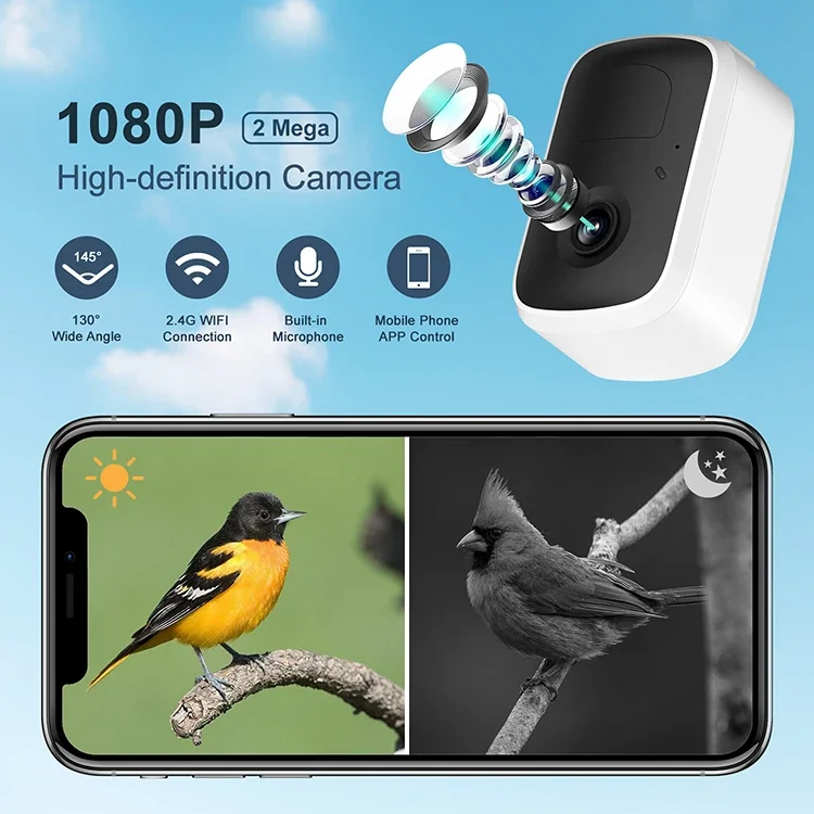 Smart AI Recognition Bird Feeder With Solar Camera And Motion Detection Function