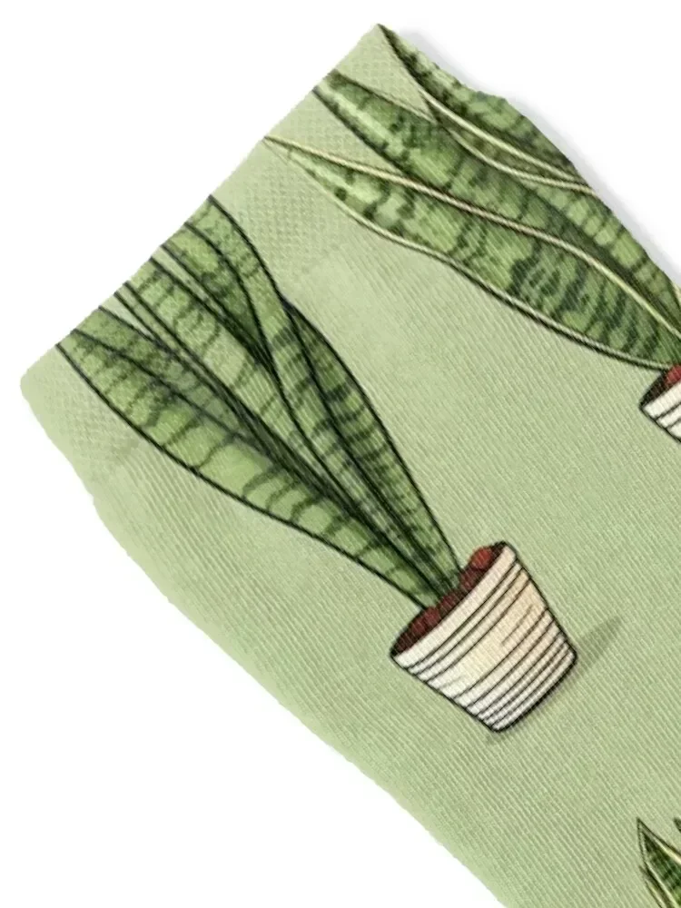 Snake Plant - sansevieria Icon Style #15 Socks Soccer winter Climbing floor Socks For Girls Men's