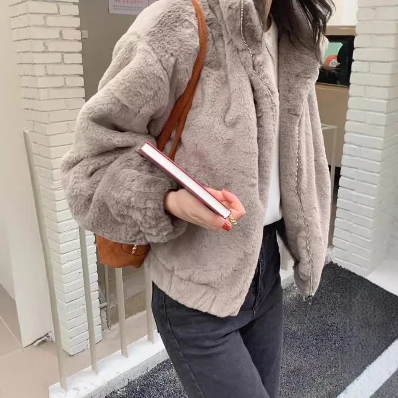 Women Winter Fleece Warm Coat Stand Collar Plush Thick Sweatshirts Female Korean Fashion Casual Long Sleeve Zipper Clothes Y2k