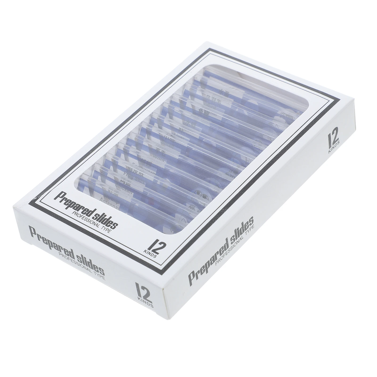 

12 Pcs Biological Sample Sections Kids Microscope Slides Glass Insect Animals Cells Samples Plastic Assortment Child