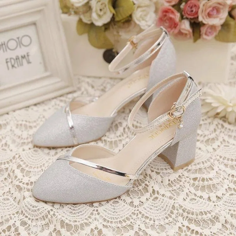 Women's Glitter Chunky Block Heel Pumps Ankle Strap with Rhinestone, Closed Pointed Toe Dress Shoes for Wedding Bridesmaid Party view 2