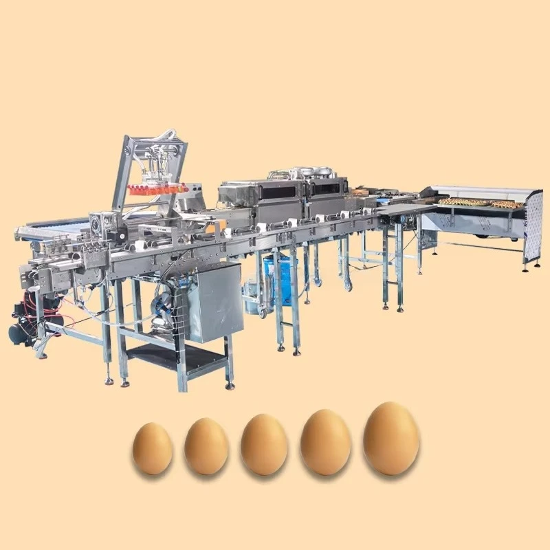 Automatic Egg Liquid Pasteurization System