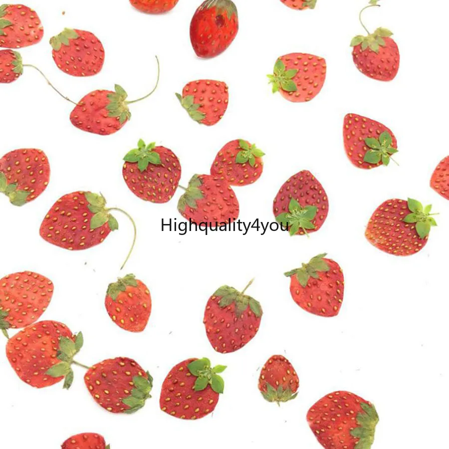 100pcs Dried Pressed Mini Fruit Strawberry Skin Slices Plant Herbarium For Jewelry Photo Frame Phone Case Bookmark Postcard DIY