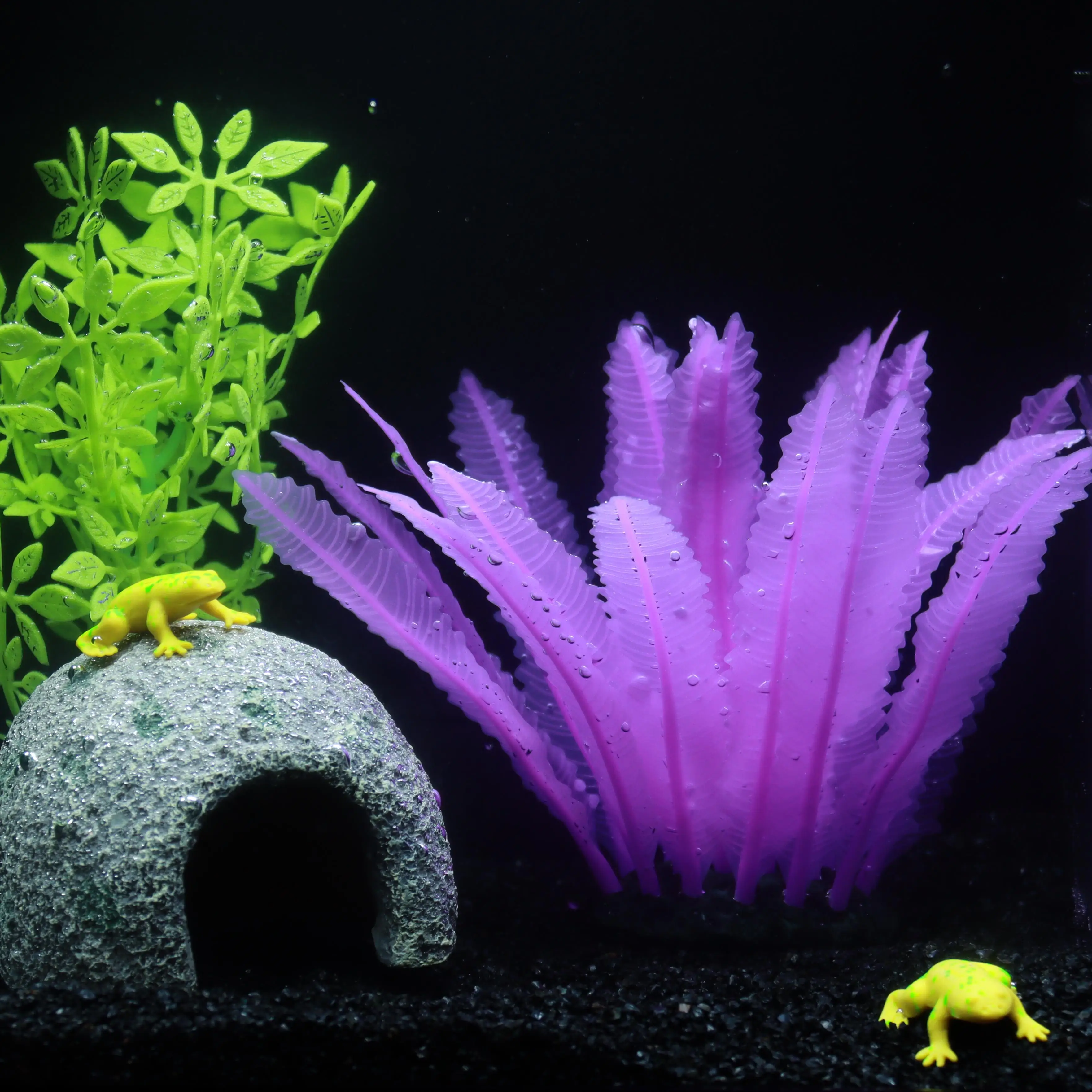 1 個のシリコン水生植物水装飾、樹脂ベース、無毒で無公害、水 - Non Planted Aquarium Fish のレビューと価格