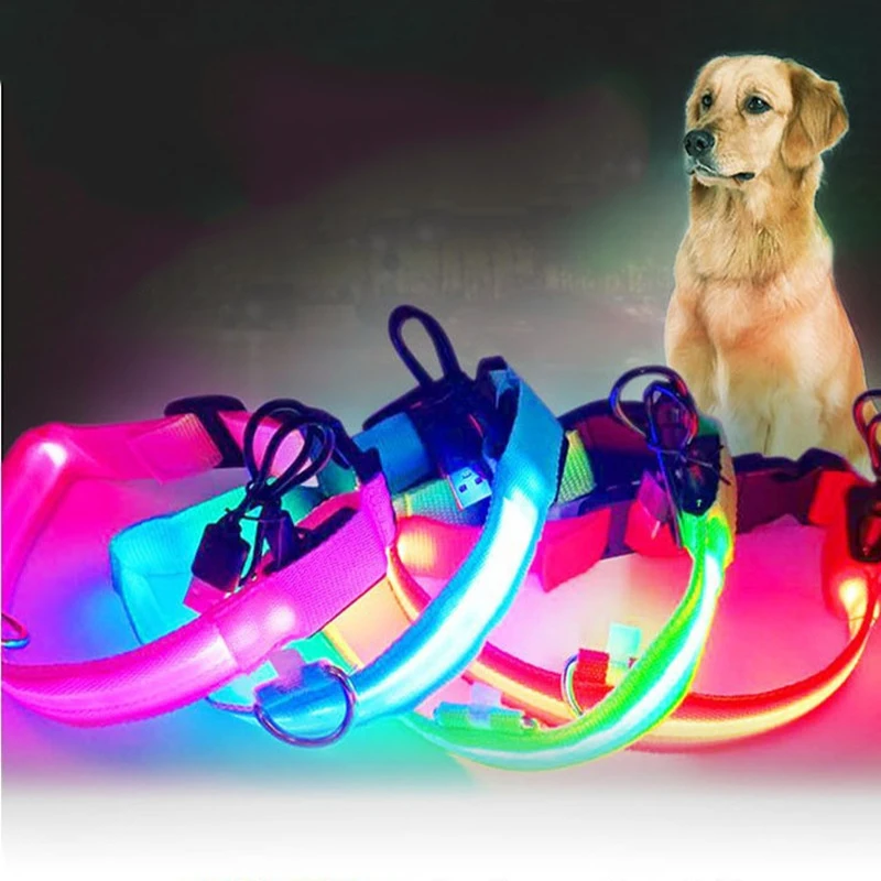 USB Luminous LED Nylon Dog Collar Pet Accessory with USB Rechargeable Light up Collar for Dogs