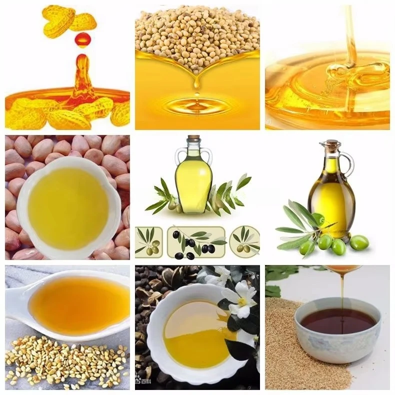 Stainless Steel Cooking Oil Making Machine 40-600kg Commercial Groundnuts Per Hour Cold and Hot Press Oil Extraction Machine