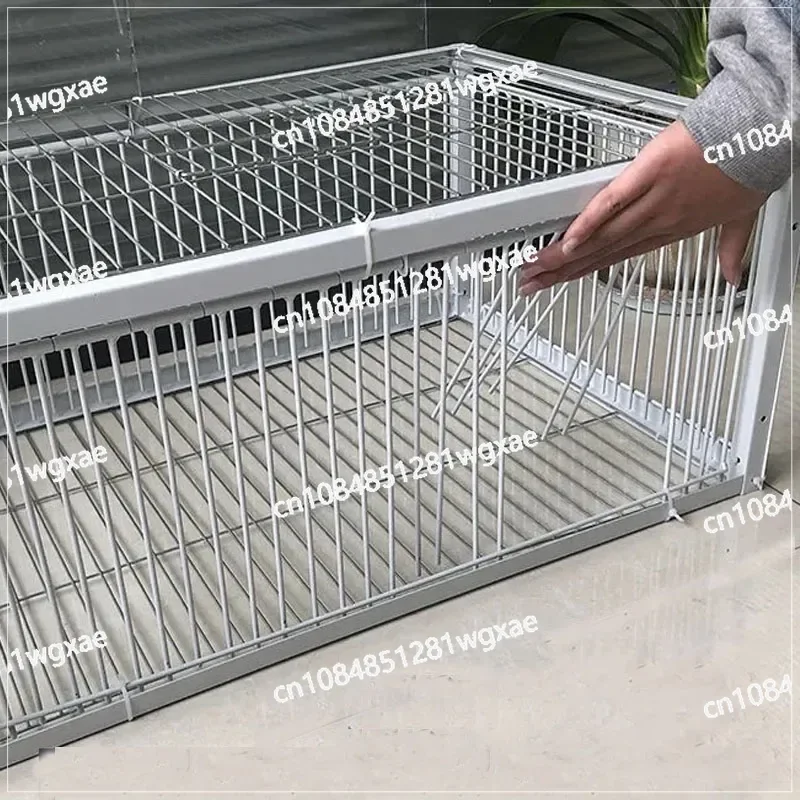 Mid Foldable Galvanised Pigeon Bird Trap Cage Feral Pigeon humane way with the one-way entrance Trapping Pigeons doves In Cages