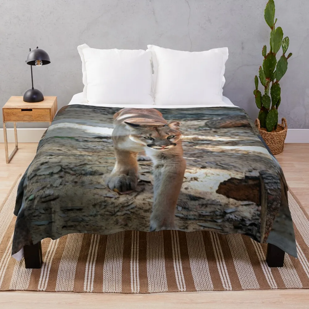 

Shasta Throw Blanket Decorative Sofas Luxury Thicken Blankets
