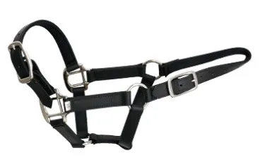 2022 Equestrian Horse Products Soft Waterproof PVC Material Design Western Style Horse Halter Set with Brass Fitting