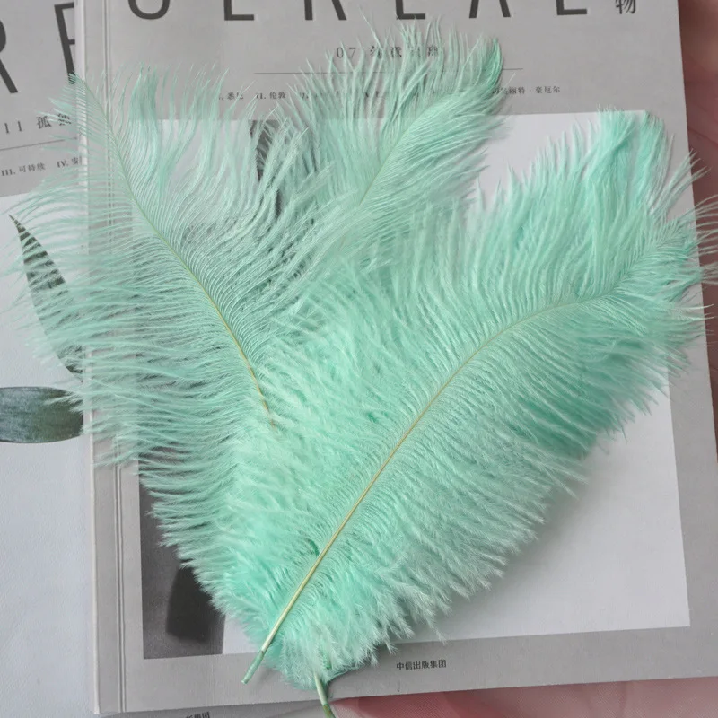 INS Ostrich Feathers Photo Props  Ornaments Manicures Cosmetic Accessories Photography Background Decorations Studio Fotografia