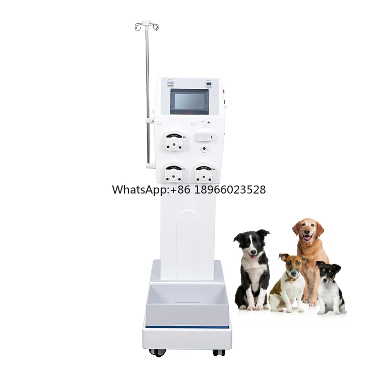 SY-W002 Vet Dialysis Machine Animals Kidney Hemodialysis Instrument  Veterinary Hemodialysis Machine