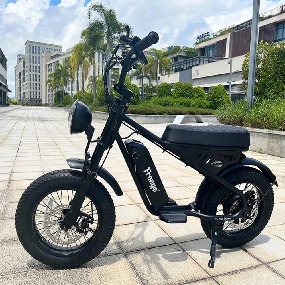 Freego دراجة نارية كهربائية صغيرة للطفل 800 واط محرك خلفي M1 48 فولت ، 10.4AH بطارية دراجة كهربائية الفرامل الهيدروليكية
