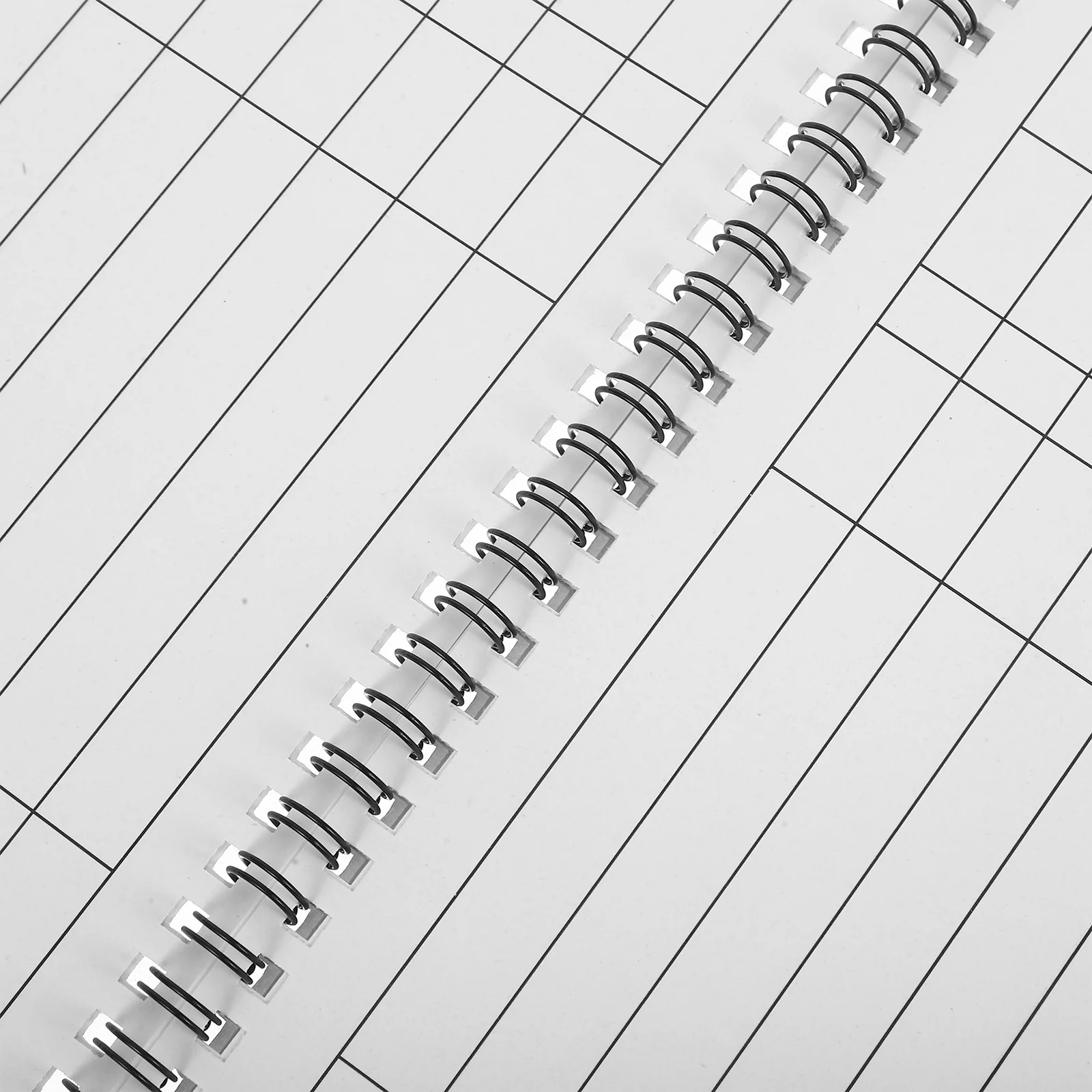 Libro compatto per la pianificazione finanziaria Rilegatura a spirale Pianificatore di budget mensile Studente del libro principale delle finanze personali