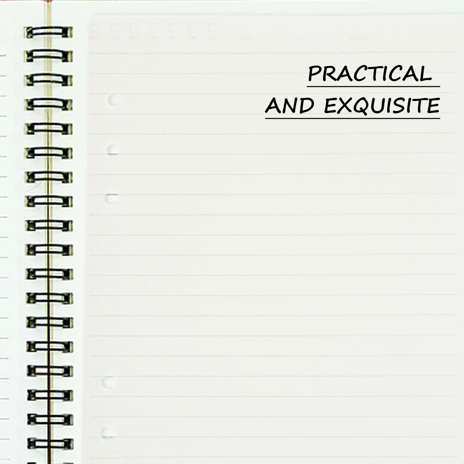 

12pcs Translucent Plastic Tab Dividers 6 Hole For Notebooks Files Books Planners Reports Manual Presentation Research Index