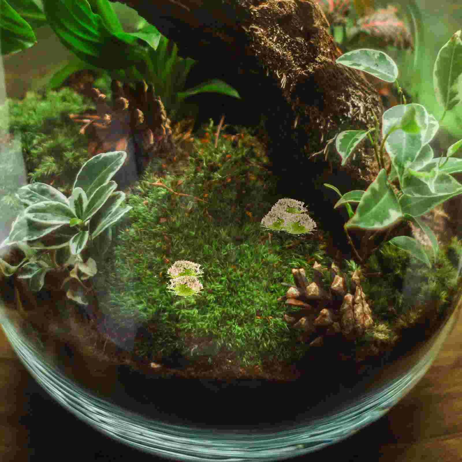 Mesa de areia diy material planta plantas falsas mini casa flor plástico decoração em miniatura micro cena