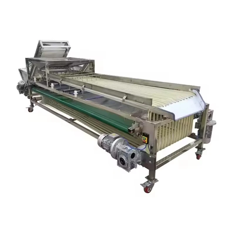 Easy Operating Electronic Jujube Grading Machine Longan Plum Date Sorting Machine