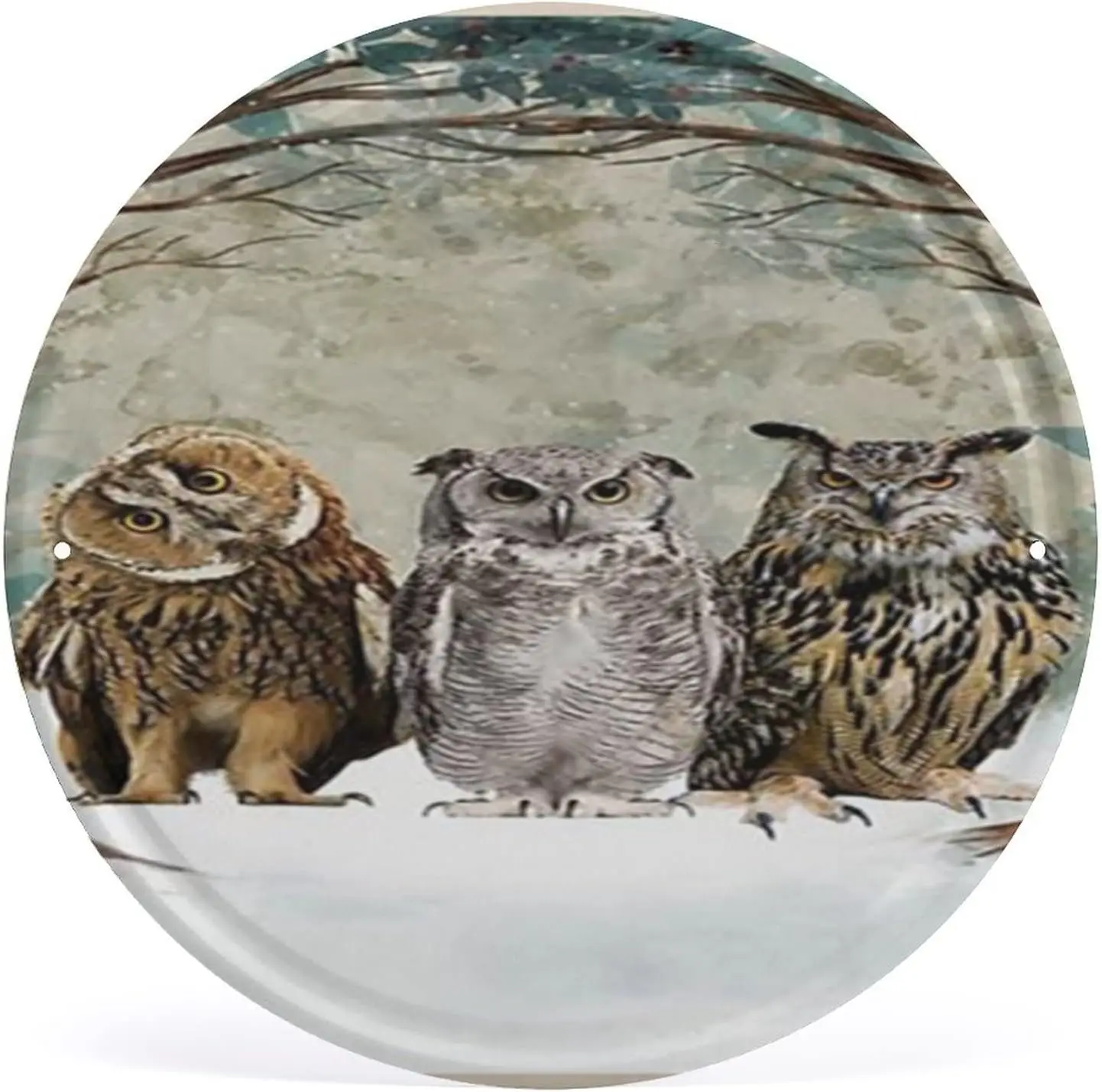 Habilboi Round Metal Tin Retro Sign The Owls Once Upon A Time There was A Girl Who Really Loved Owls That was Me The End Retro T