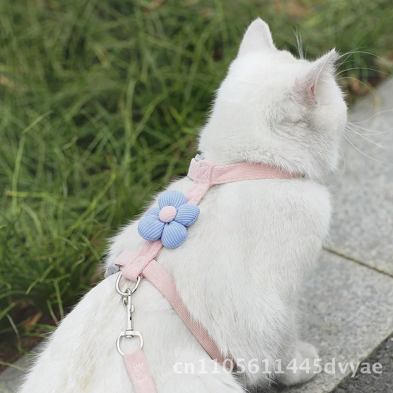 

Тяговая веревка с мультяшным котом, I-образный регулируемый поводок для домашних животных для маленьких собак, Тедди, выдвижной синий, розовый, желтый, со специальным маппет