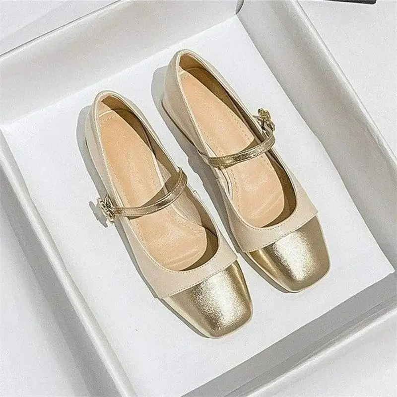 2025 Autumn New Light Mouth Color blocked Mary Jane Small Leather Shoes French Square Head Coarse Heel Casual Women's Shoes