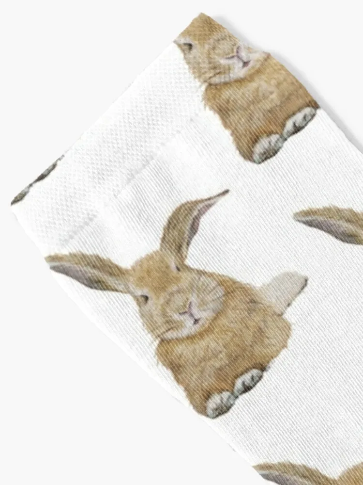 Inquisitive Bunny Socks Winter Socks Women