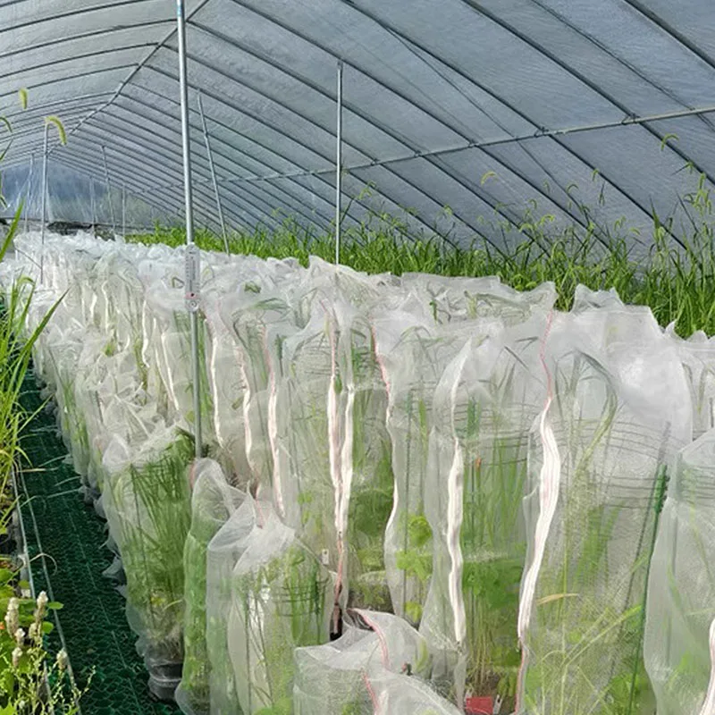 2025Wysokiej jakości plastikowa siatka ochronna na warzywa i owoce, siatka na owady, siatka rolnicza
