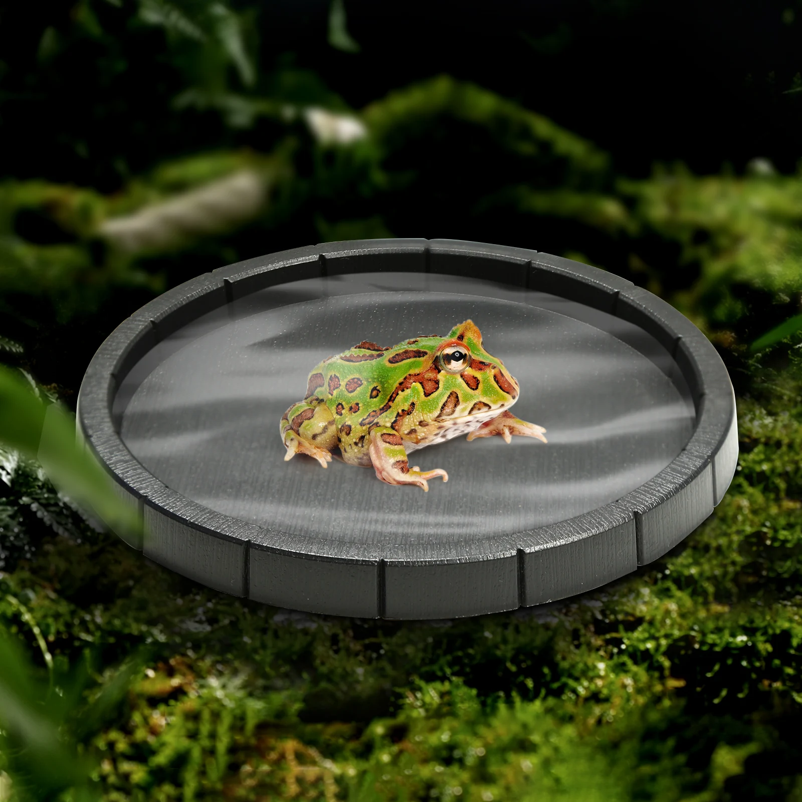 Thumbnail 3 - #27 Trending Reptile Water Bowls Right Now