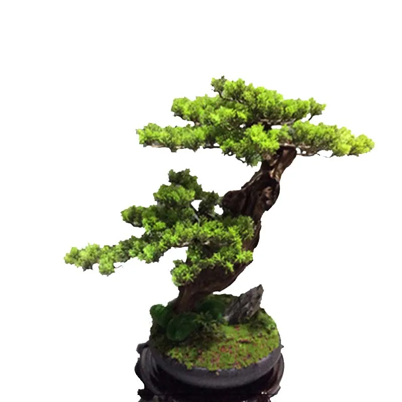 

YY Chinese Simulation Pine Welcome Pine Podocarpus Macrophyllus Porcelain Bonsai Living Room Entrance