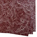 Topographic 5