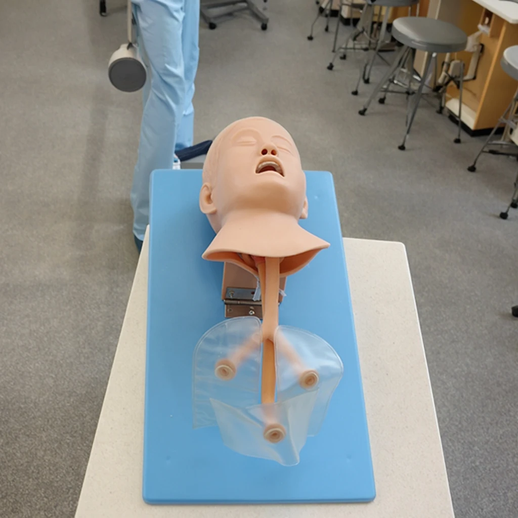 Human Simulation Child Airway Manikin For Medical Science Tracheal Intubation Teaching And Learning Anatomy