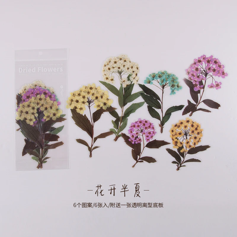 6 stuks bloemen- en plantenstickers, waterdicht, natuurlijke plantenmotieven, voor telefoonhoesjes, doe-het-zelfprojecten, scrapbooks, decoratieve stickers.