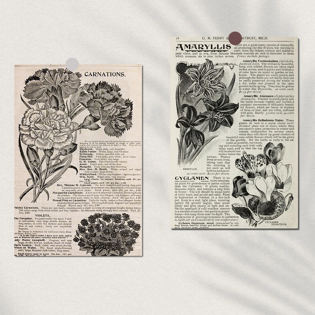 10 шт. ретро английские цветы наклейка плакат ностальгия стены кофе ноутбук подарок комната чемодан скейтборд для наклейки на стену