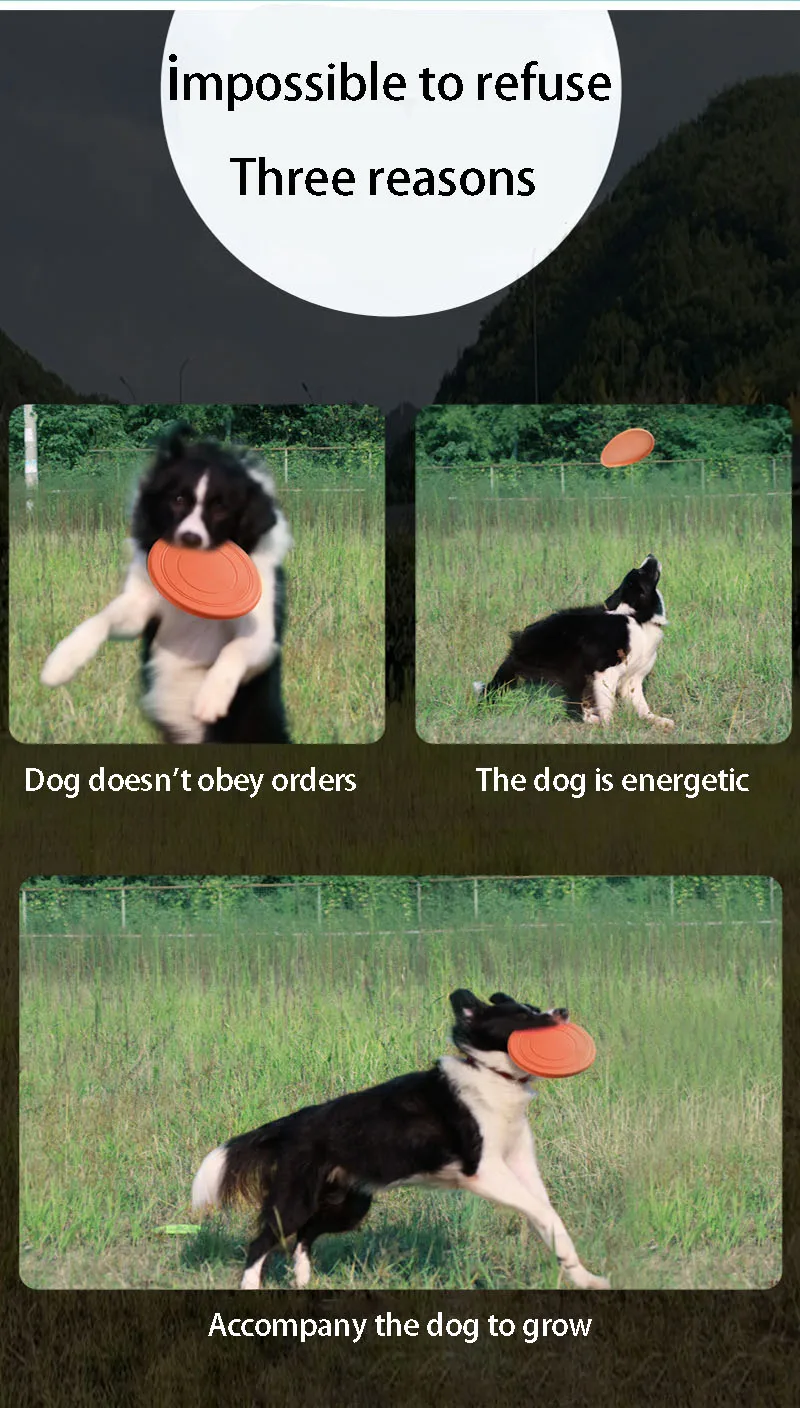 7-Farben-Silikon-fliegende Untertasse, lustiges Hundekatzen-Spielzeug, Hundespiel, fliegende Scheiben, beständig, zum Kauen, für Welpen, Training, interaktives Heimtierbedarf – Detail 2