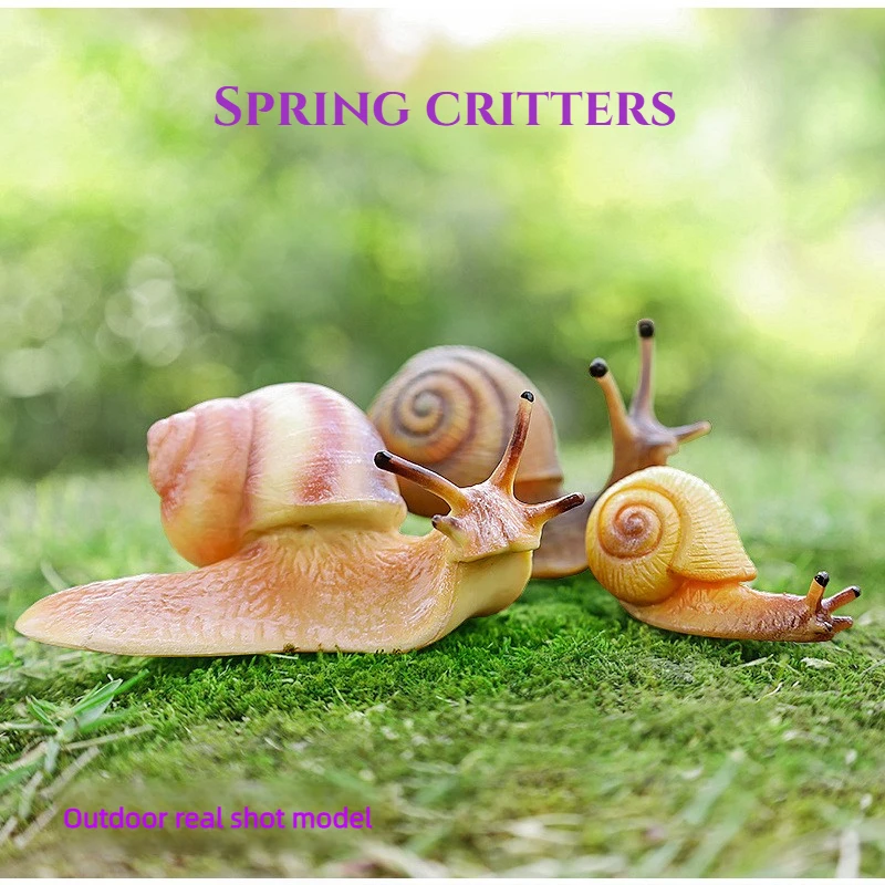 

Realistic Snail Educational Model, Solid Animal Figurine, Kids Insect Reptile Toy, Nature Teaching Gift