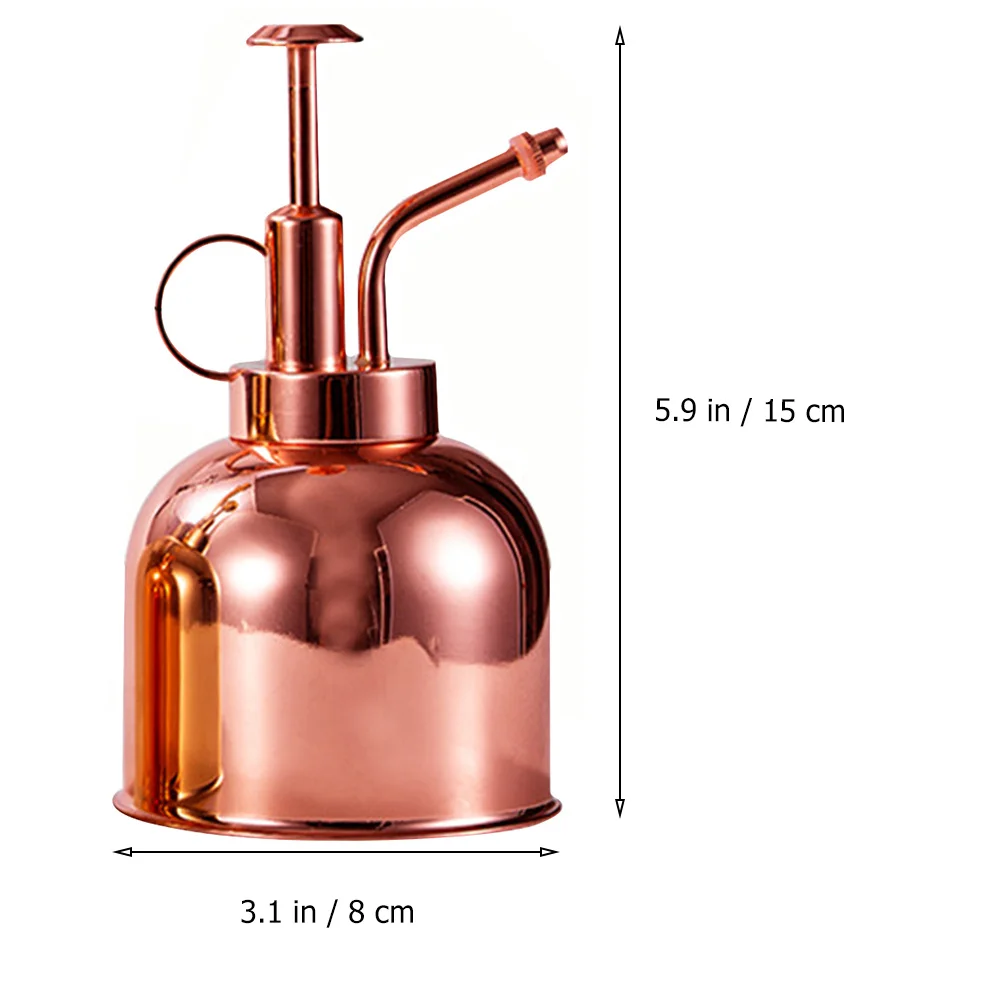 

1Pcs Succulent Watering Bottle Vintage Style Stainless Steel Pump Sprayer for Precise Indoor Outdoor Plant Care