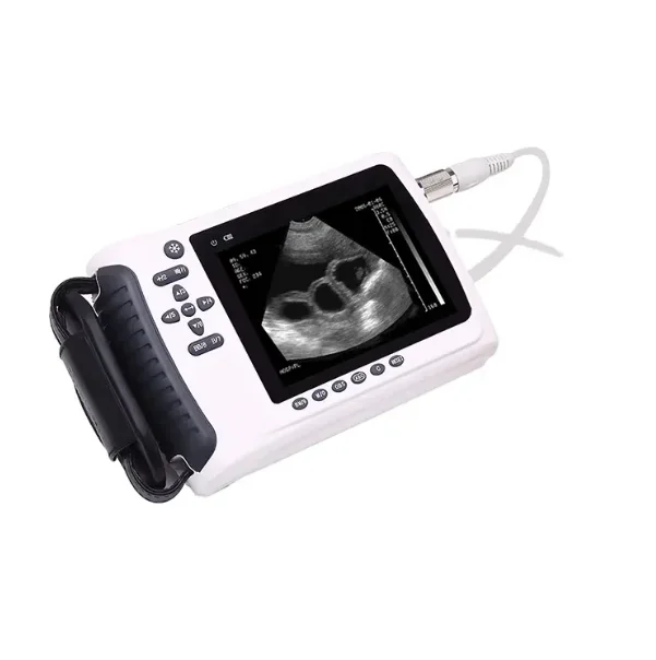 AMAIN Heißer Verkauf 5 "FTT-LED Handheld Tragbare Veterinär Ultraschall für Rinder Hund Tier Schwangerschaft